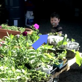 29BFB7BD-A265-4DFC-A384-53C3F2150405_kindlephoto-151405.jpg 29BFB7BD-A265-4DFC-A384-53C3F2150405_kindlephoto-151405.jpg