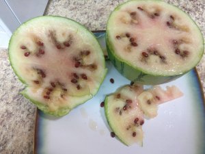 IMG_20190819_190715.jpg IMG_20190819_190715.jpg