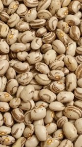 20191009_204214.jpg 20191009_204214.jpg