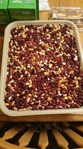 20191009_204258.jpg 20191009_204258.jpg