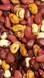 20191009_204313.jpg 20191009_204313.jpg