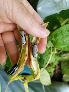 20190907_100514.jpg 20190907_100514.jpg