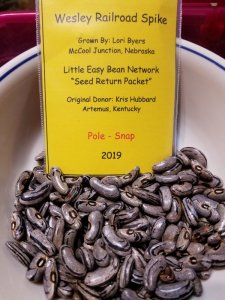 20191015_201644.jpg 20191015_201644.jpg