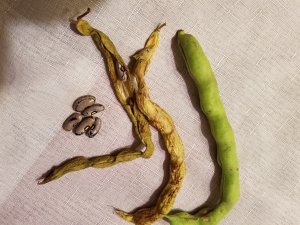 20191015_204326.jpg 20191015_204326.jpg