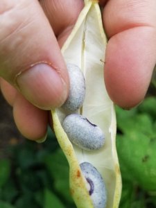 20190907_095107.jpg 20190907_095107.jpg