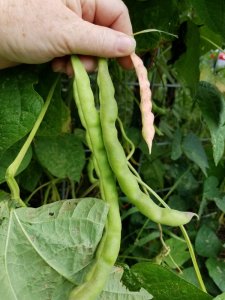 20190907_100603.jpg 20190907_100603.jpg