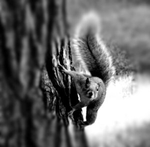 310-medium_kindlephoto-18838806.jpg 310-medium_kindlephoto-18838806.jpg