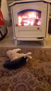 20191027_174601.jpg 20191027_174601.jpg