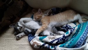 20191104_185339.jpg 20191104_185339.jpg