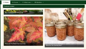 1575941872515.jpg 1575941872515.jpg