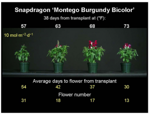 Greenhouse Temperatures2.PNG