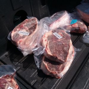 20200307_113403.jpg 20200307_113403.jpg