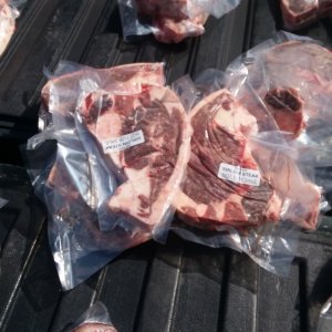 20200307_113359.jpg 20200307_113359.jpg