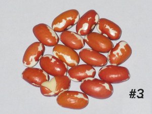 #3A-sunrise.JPG #3A-sunrise.JPG