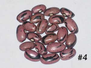 #4A-rio-zape.JPG #4A-rio-zape.JPG