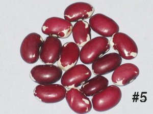 #5A-four-corners-red.JPG #5A-four-corners-red.JPG