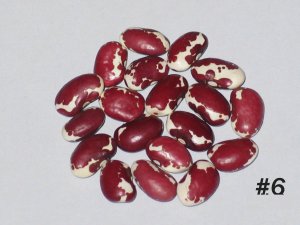 #6A-southwest-red.JPG #6A-southwest-red.JPG