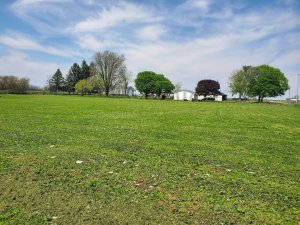 North pasture after mowing, 05-02-2020.jpg