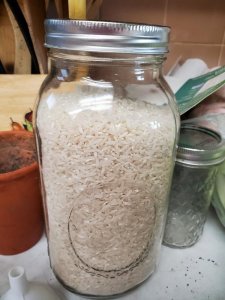 Rice in half gal jar.jpg
