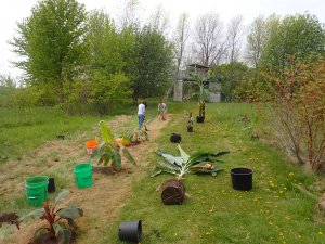 OI000011.JPG OI000011.JPG