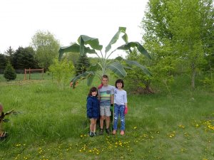 OI000006.JPG OI000006.JPG