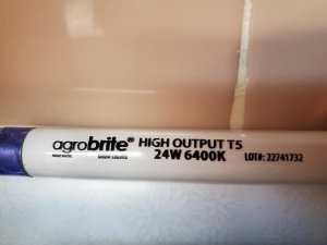 Fridge gro light bulb, June 1, 2020.jpg