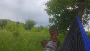 20200606_172731.jpg 20200606_172731.jpg