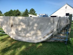 CW tents aired, 06-06-2020, #5.jpg