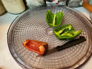 Sweet peppers dehydrating#3, 11-02-2020.jpg