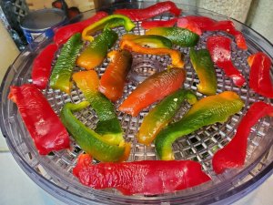 Sweet peppers dehydrating#2, 11-02-2020.jpg