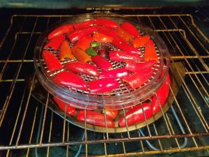 Hot peppers, 12-05-2020, #3.jpg