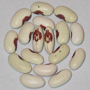 Long Prairie Trout OT.jpg