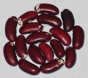 Skunk River Off Type 2 - 28B.jpg