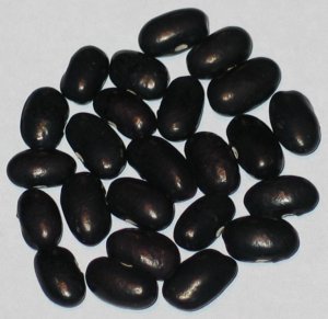 Super Bean Black.jpg