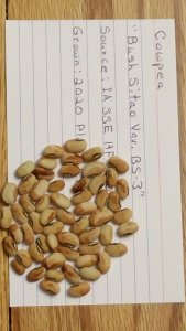 20201206_133250.jpg 20201206_133250.jpg