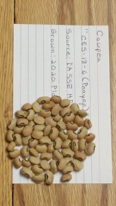 20201206_141945.jpg 20201206_141945.jpg