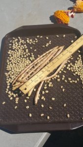 20200904_113319.jpg 20200904_113319.jpg