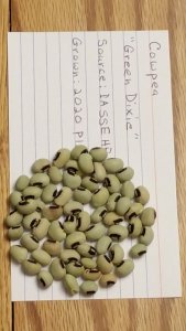 20201206_132456.jpg 20201206_132456.jpg