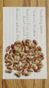 20201206_140956.jpg 20201206_140956.jpg