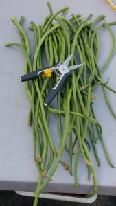 20200928_165251.jpg 20200928_165251.jpg