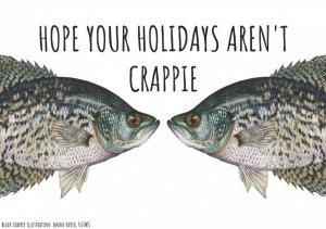 crappies.JPG