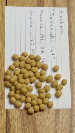 20201205_165715.jpg