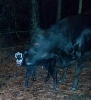 1.5.21 just found.jpg 1.5.21 just found.jpg