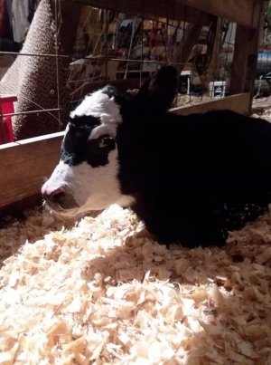 still no name.jpg still no name.jpg