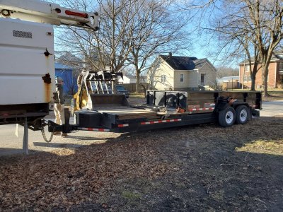 Pin Oak Chop Down, 01-20-21, #2.jpg