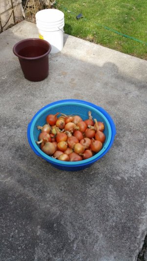 20150419_160638.jpg