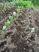 DSC01042.JPG DSC01042.JPG