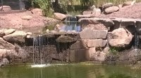waterfall.jpg