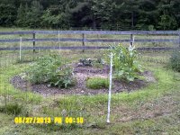 DSCF0046.JPG DSCF0046.JPG