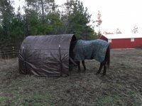 DSCF0170.JPG DSCF0170.JPG